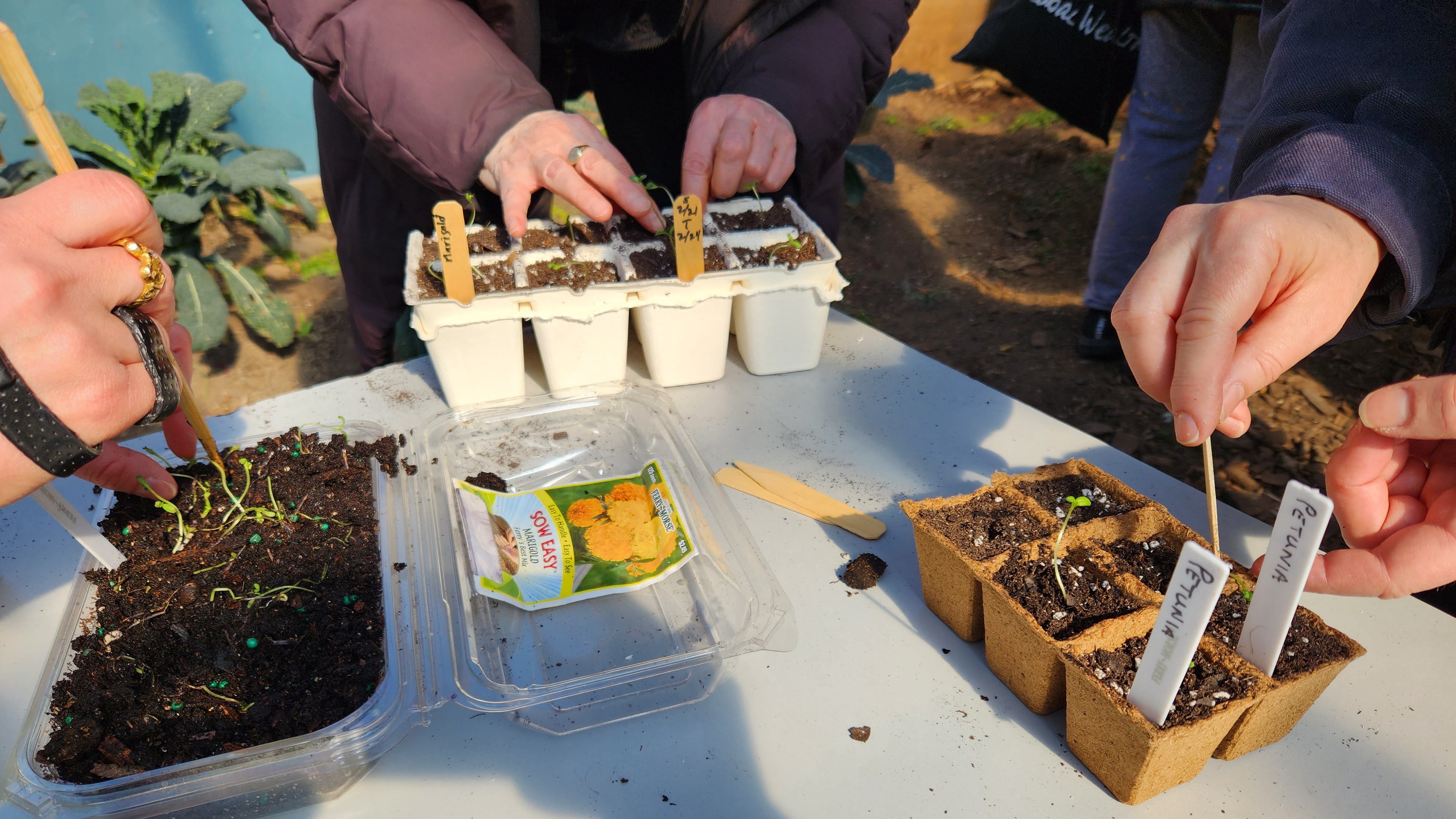 GreenThumb Community Gardening Season Is Here!