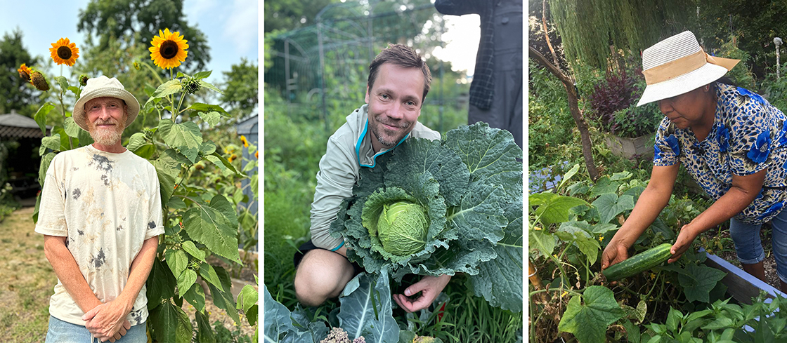 2024 GreenThumb Harvest Fair Competition