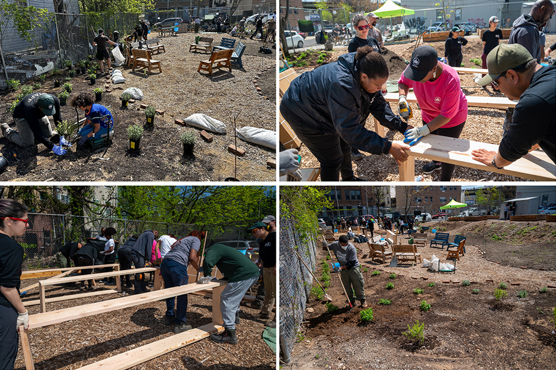 A collage of four photos of people working in a community garden. The top photo on the left shows people planting, the top right and bottom left photo has people working together to build raised beds for the garden. The bottom right photo shows the garden and a person on the left with a shovel by some plants.